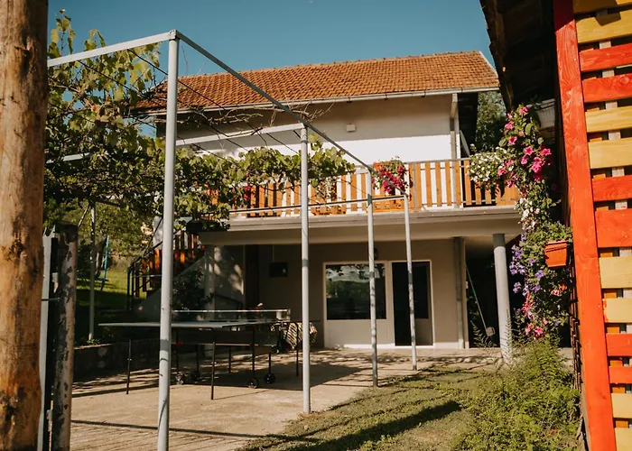 Vidovo Domacinstvo